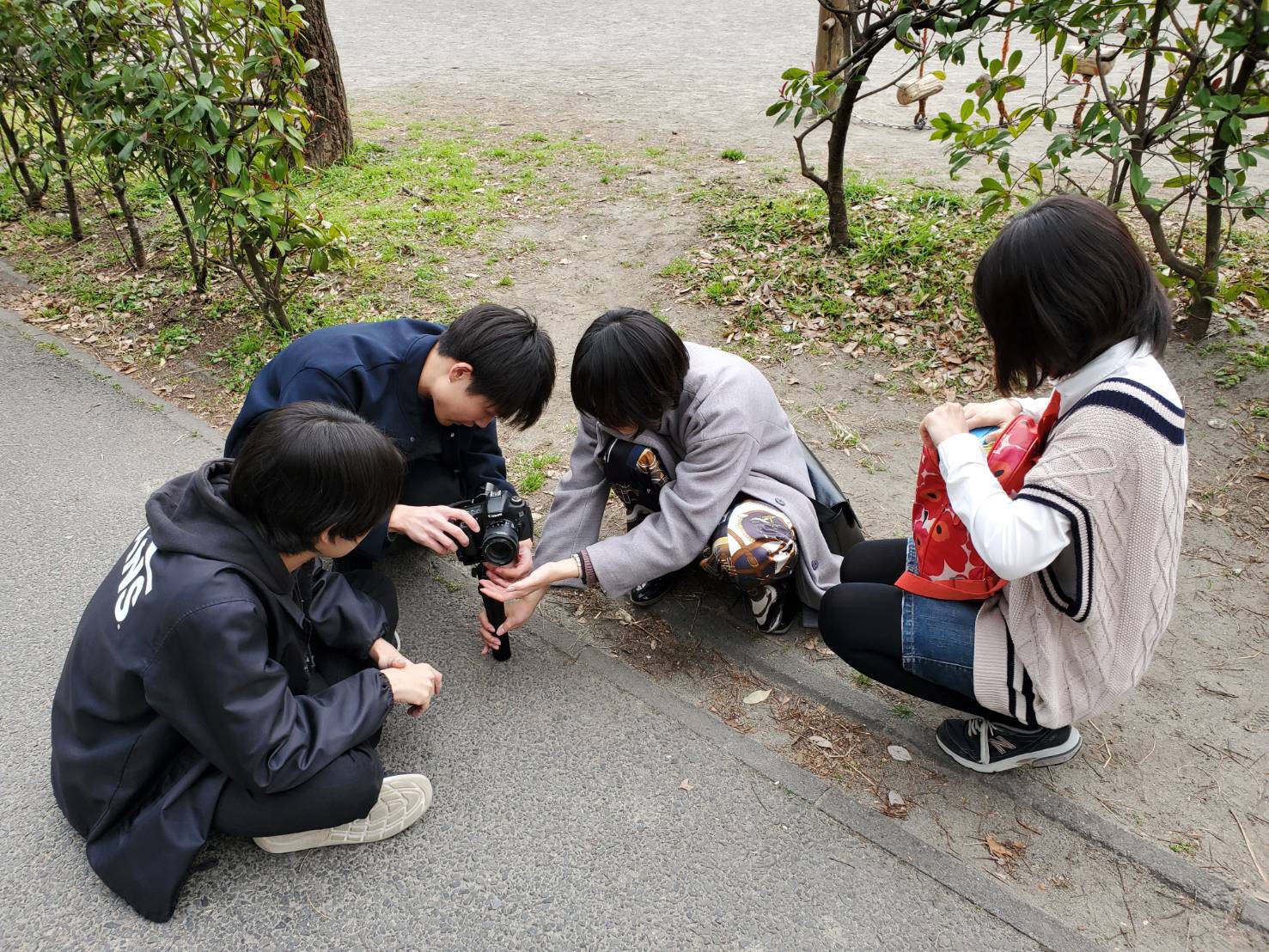 スライドショー